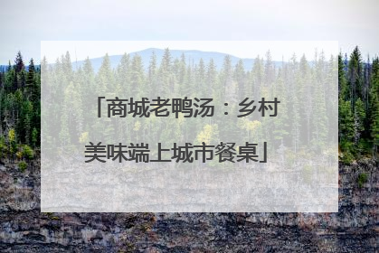 商城老鸭汤：乡村美味端上城市餐桌