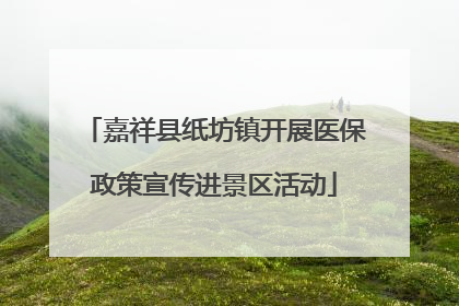 嘉祥县纸坊镇开展医保政策宣传进景区活动
