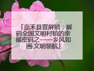 嘉禾县晋屏镇：解码全国文明村镇的幸福密码之——乡风如画·文明领航