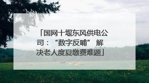 国网十堰东风供电公司：“数字反哺” 解决老人度夏缴费难题