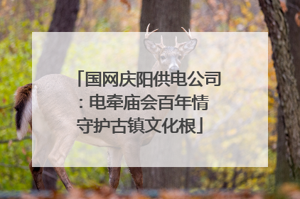 国网庆阳供电公司：电牵庙会百年情 守护古镇文化根