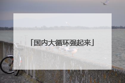 国内大循环强起来