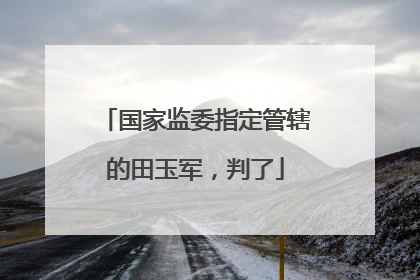 国家监委指定管辖的田玉军，判了