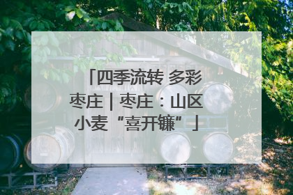 四季流转 多彩枣庄｜枣庄：山区小麦“喜开镰”