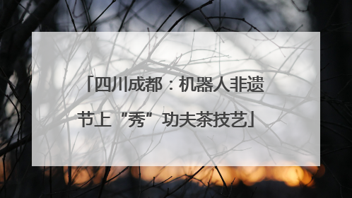 四川成都：机器人非遗节上“秀”功夫茶技艺