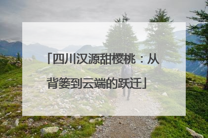 四川汉源甜樱桃：从背篓到云端的跃迁