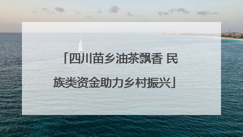 四川苗乡油茶飘香 民族类资金助力乡村振兴