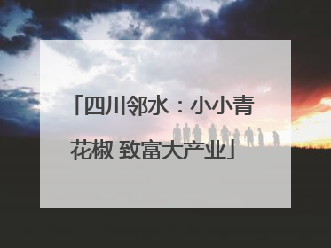 四川邻水：小小青花椒 致富大产业