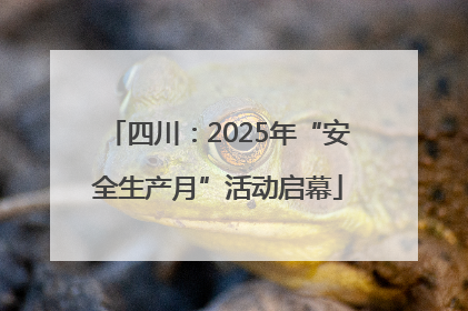 四川：2025年“安全生产月”活动启幕