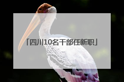 四川10名干部任新职
