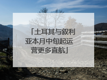 土耳其与叙利亚本月中旬起运营更多直航