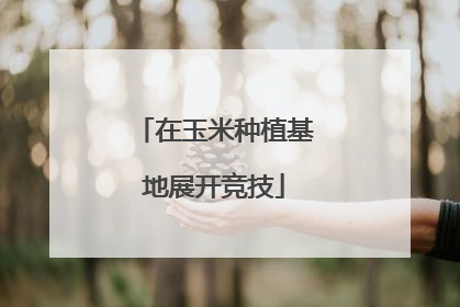在玉米种植基地展开竞技