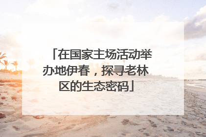 在国家主场活动举办地伊春，探寻老林区的生态密码