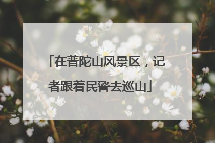 在普陀山风景区，记者跟着民警去巡山