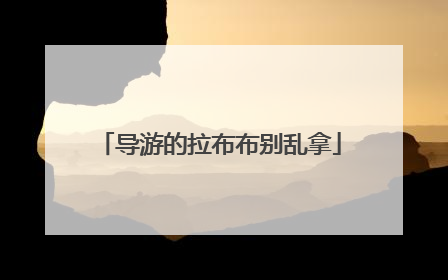 导游的拉布布别乱拿