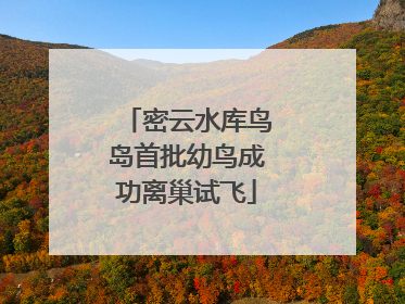 密云水库鸟岛首批幼鸟成功离巢试飞