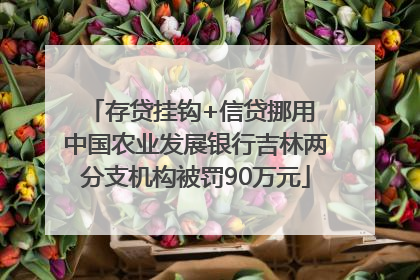 存贷挂钩+信贷挪用 中国农业发展银行吉林两分支机构被罚90万元