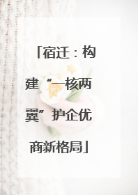 宿迁：构建“一核两翼”护企优商新格局