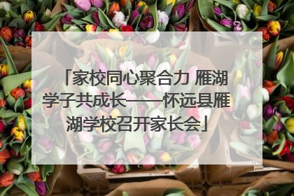 家校同心聚合力 雁湖学子共成长——怀远县雁湖学校召开家长会