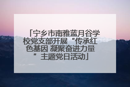 宁乡市南雅蓝月谷学校党支部开展“传承红色基因 凝聚奋进力量”主题党日活动