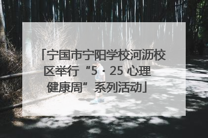 宁国市宁阳学校河沥校区举行“5・25 心理健康周”系列活动