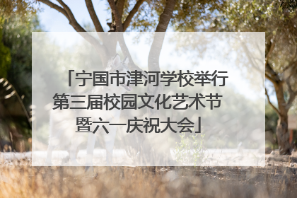 宁国市津河学校举行第三届校园文化艺术节暨六一庆祝大会