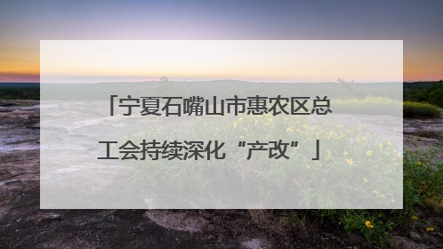 宁夏石嘴山市惠农区总工会持续深化“产改”