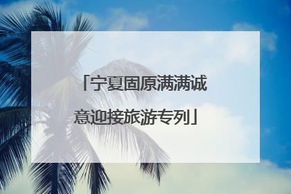 宁夏固原满满诚意迎接旅游专列