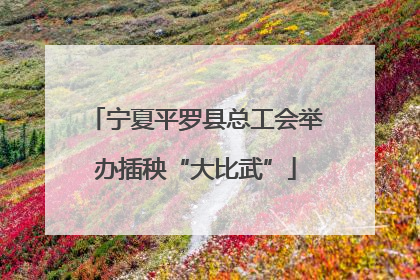宁夏平罗县总工会举办插秧“大比武”