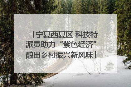 宁夏西夏区 科技特派员助力“紫色经济”酿出乡村振兴新风味