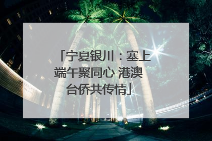 宁夏银川：塞上端午聚同心 港澳台侨共传情