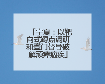 宁夏：以靶向式蹲点调研和登门督导破解顽瘴痼疾