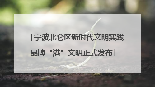 宁波北仑区新时代文明实践品牌“港”文明正式发布