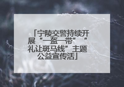 宁陵交警持续开展“一盔一带”“礼让斑马线”主题公益宣传活