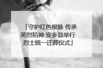 守护红色根脉 传承英烈精神 安乡县举行烈士统一迁葬仪式