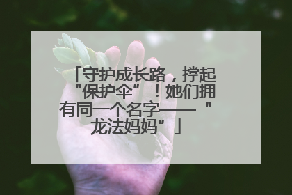 守护成长路，撑起“保护伞”！她们拥有同一个名字——“龙法妈妈”