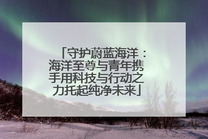 守护蔚蓝海洋：海洋至尊与青年携手用科技与行动之力托起纯净未来
