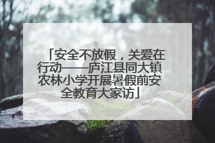 安全不放假，关爱在行动——庐江县同大镇农林小学开展暑假前安全教育大家访