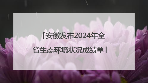 安徽发布2024年全省生态环境状况成绩单