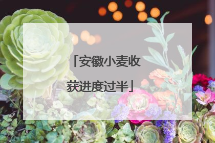安徽小麦收获进度过半