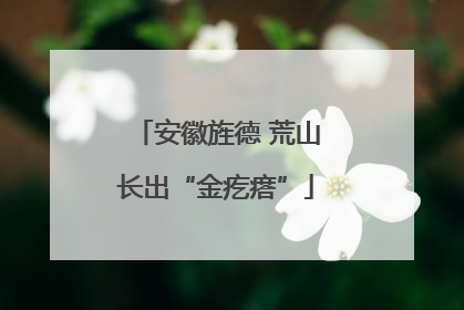 安徽旌德 荒山长出“金疙瘩”