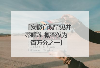 安徽首现罕见并蒂睡莲 概率仅为百万分之一