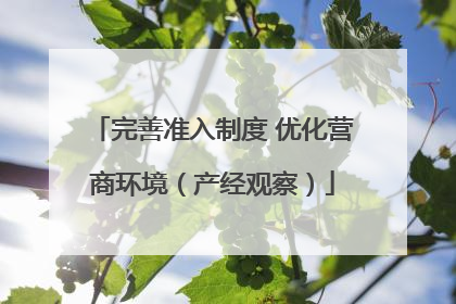 完善准入制度 优化营商环境（产经观察）