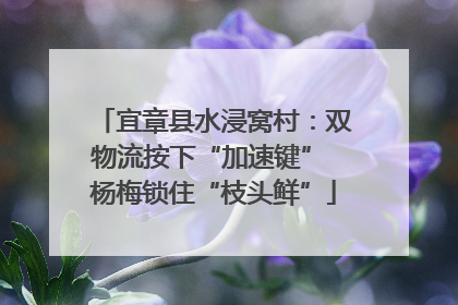 宜章县水浸窝村：双物流按下“加速键” 杨梅锁住“枝头鲜”