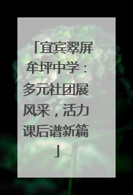 宜宾翠屏牟坪中学:多元社团展风采,活力课后谱新篇