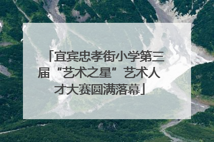 宜宾忠孝街小学第三届“艺术之星”艺术人才大赛圆满落幕