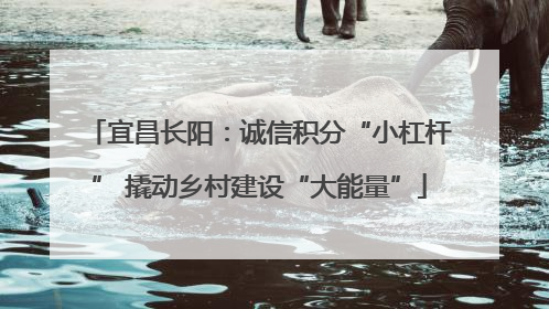 宜昌长阳：诚信积分“小杠杆” 撬动乡村建设“大能量”