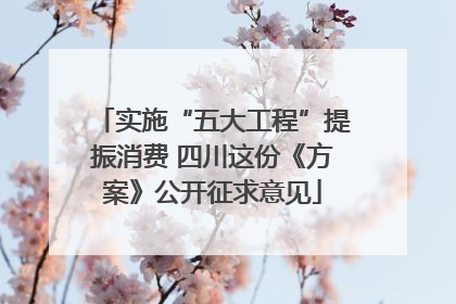 实施“五大工程”提振消费 四川这份《方案》公开征求意见