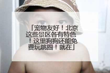 宠物友好！北京这些景区各有特色！这里狗狗还能免费玩跳圈！就在