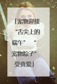 宠物迎接“舌尖上的端午” “宠物粽子”受喜爱